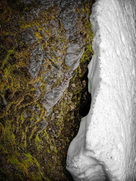 Receding Snowline Closeup Trail Skull Rock Willamette National Forest Oregon — Stock Photo, Image