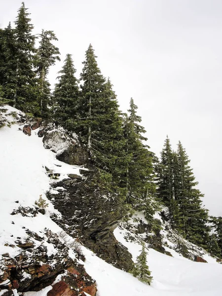 Сніжний Сніговий День Crater Lake Cascade Mountains Oregon Стокове Фото