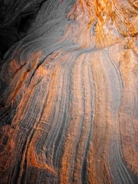 Zion Kanyonu 'nun sonbahar sonu renkleri ve dokuları, güneybatı Utah