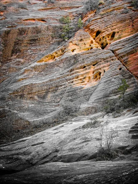 ユタ州南西部のシオン キャニオンの晩秋の色とテクスチャ — ストック写真