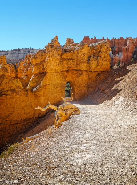 Autumn Afternoon Bryce Canyon Wasatch Mountains Southern Utah — Stock Photo, Image