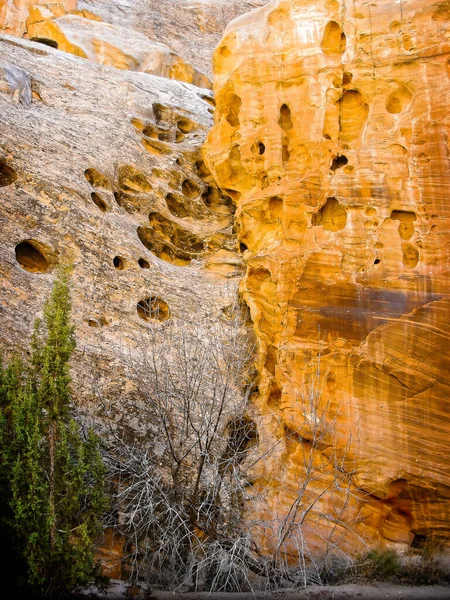 Extrañas Texturas Geológicas Colores Vívidos Del Gran Lavado Finales Otoño — Foto de Stock