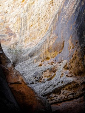 Büyük Yıkama Kanyonu 'nun tuhaf renkleri ve dokuları sonbaharın sonlarında, Güney Utah' taki Capitol Resif Ulusal Parkı 'nda.