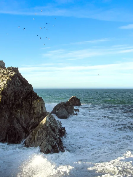 Midden December Morgens Point Reyes Stille Oceaan Buiten San Francisco — Stockfoto