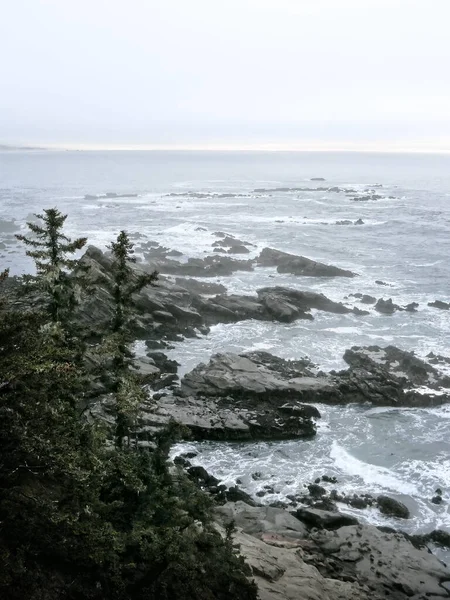 December Schemering Bij Cape Arago Buiten Coos Bay Oregon Pacific — Stockfoto