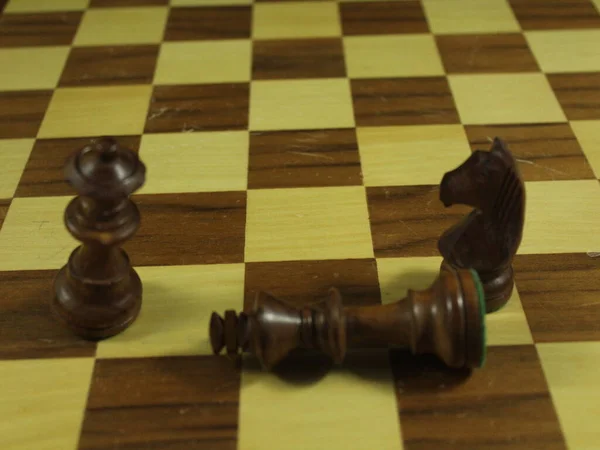 Farklı Figürlere Sahip Güzel Satranç Oyunu Strateji Eğlence Kültürü — Stok fotoğraf