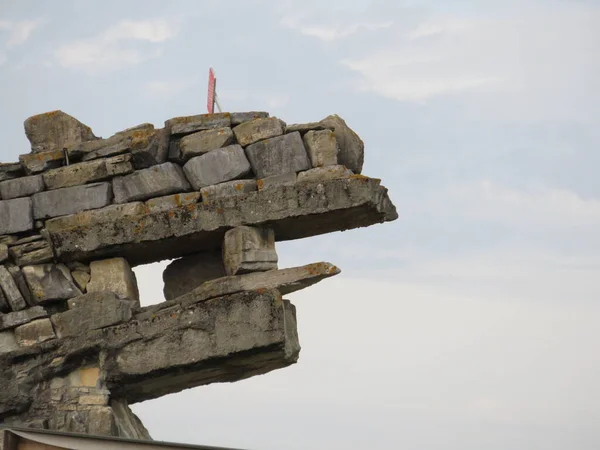 Güzel ejderha şekilli taş duvar topraktan çıkıyor.