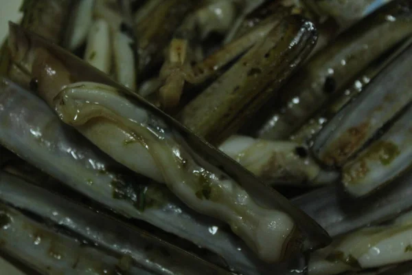 Gegrillte Rasiermesser Meeresfrüchte Leckeren Natürlichen Schalengeschmack lizenzfreie Stockbilder