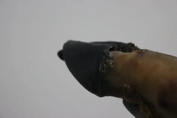 漂亮美味的伊比利亚火腿天然黑腿精美美味的蹄猪 — 图库照片