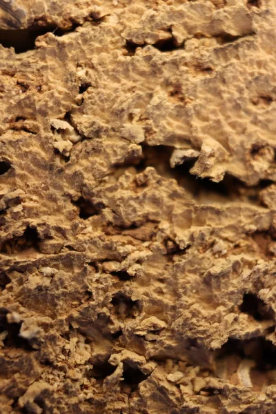 Cork Natural Bark Industry Macro Abstract Background Cork — Stock Photo, Image