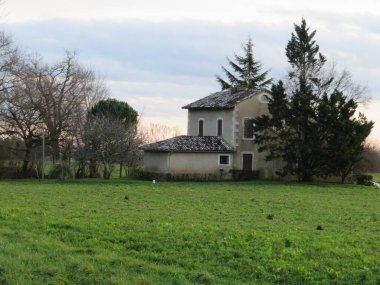 Gün batımı ağaçları. Karanlık, güzel, doğal gökyüzü.