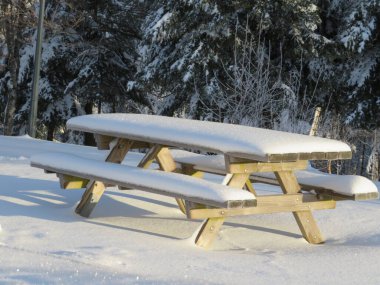 Kar beyazı soğuk kış güzel dondurma ağaçları manzarası