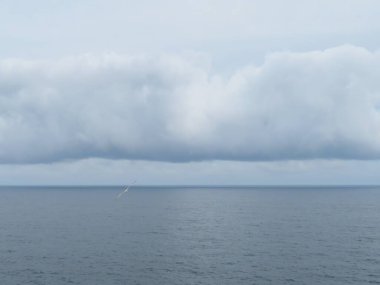 Muhteşem güzellikte martılar ve kamera için güzel bir renk soygunu.