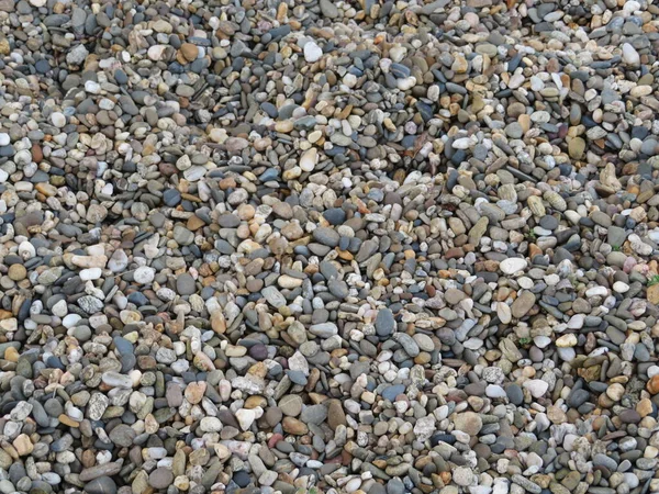 Steine Kleine Härte Hintergrund Boden Verschiedene Farben — Stockfoto