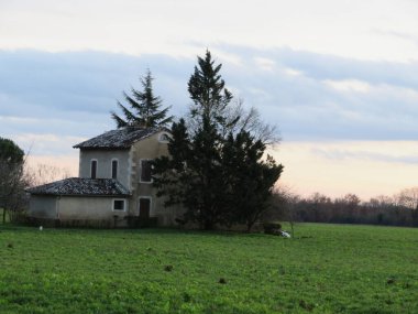 Gün batımı ağaçları. Karanlık, güzel, doğal gökyüzü.