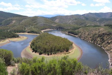 Güzel kıvrımlı nehir, su kıvrımları, doğa genişliği.