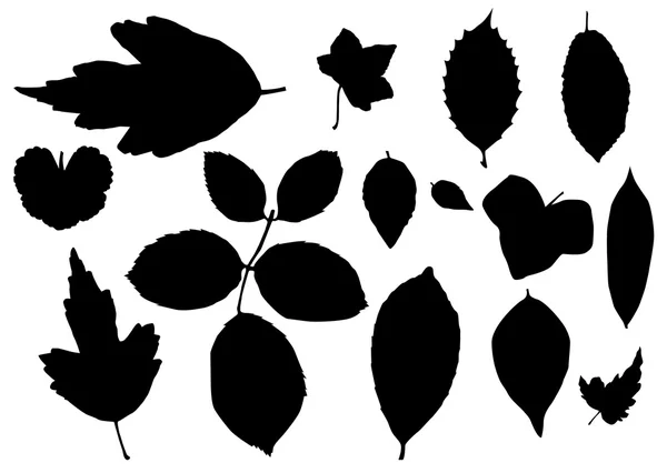 SILHOUETTE LEAVES — Stock Vector