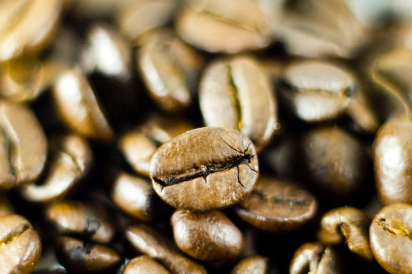 Macro shot of coffee beans — Stock Photo, Image