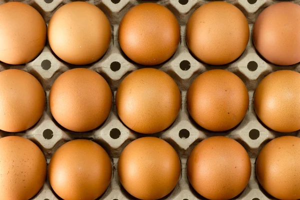 Eggs in carton tray — Stock Photo, Image