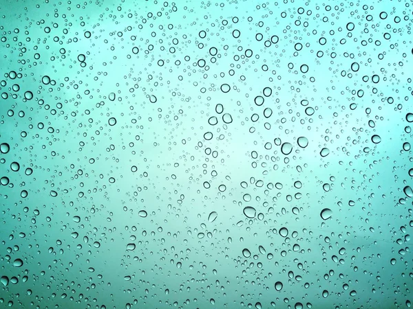 Många droppar regn — Stockfoto