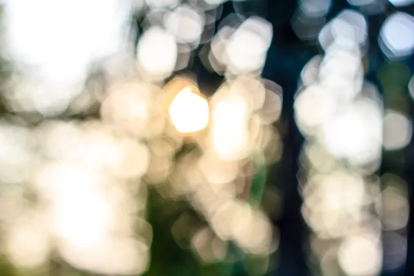 Abstracte wazig bokeh achtergrond — Stockfoto