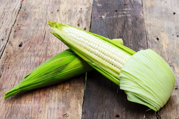 Fresh corn — Stock Photo, Image