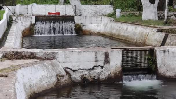 Fiskkläckningsanläggningar Liten Stad Mexiko — Stockvideo