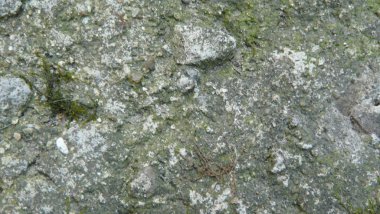 Cg grafikleri için doku taşı