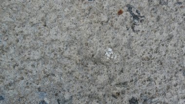 Cg grafikleri için doku taşı