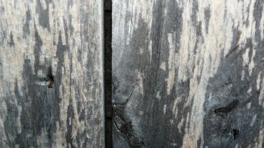 Cg grafikleri için doku ahşap