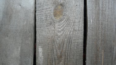 Cg grafikleri için doku ahşap