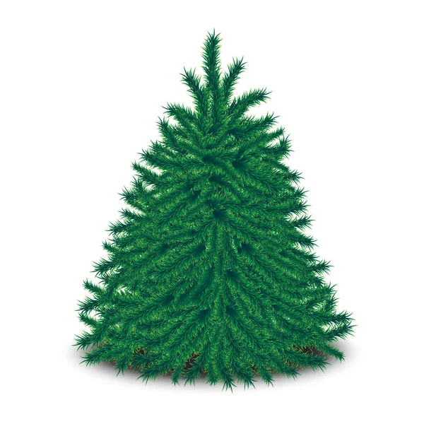 Vettore Realistico Cespuglioso Albero Natale Disadorno Isolato Sfondo Bianco — Vettoriale Stock