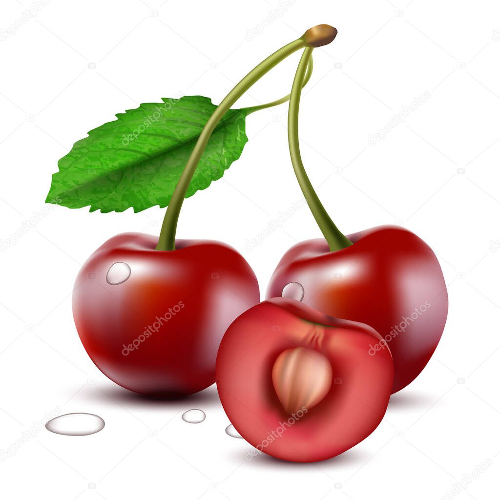 3d realistic vector cherry with half cherry with seed. Isolated on white background.