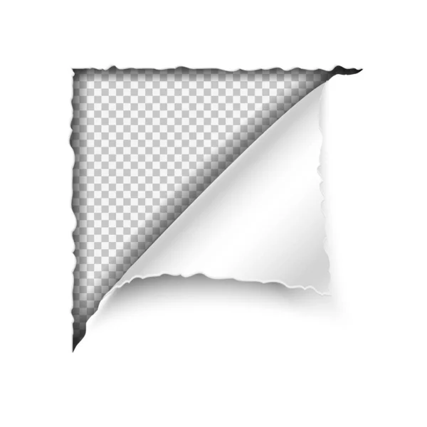 Papier Vectoriel Réaliste Déchiré Angle Sur Fond Blanc Conception Gabarit — Image vectorielle