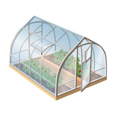 Isometric 3d gerçekçi vektör serası bitkiler ve açık kapılı cam. Beyaz arkaplanda izole resimleme simgesi.