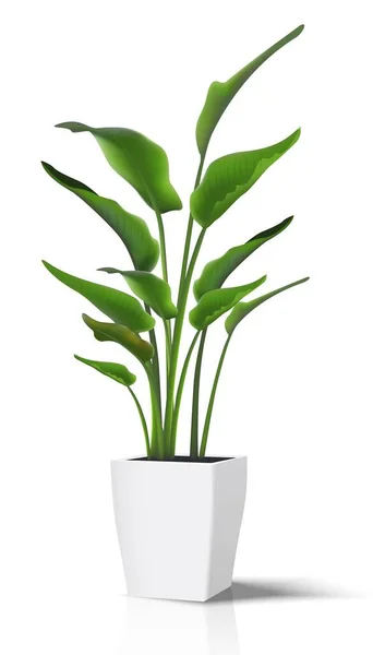 3D現実的なベクトルフロアハウス緑の植物 白い鍋に白いイラストのアイコンに分離 — ストックベクタ