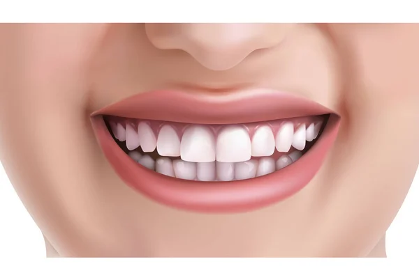 3D現実的なベクトル顔の女性笑顔とともに白い歯 — ストックベクタ