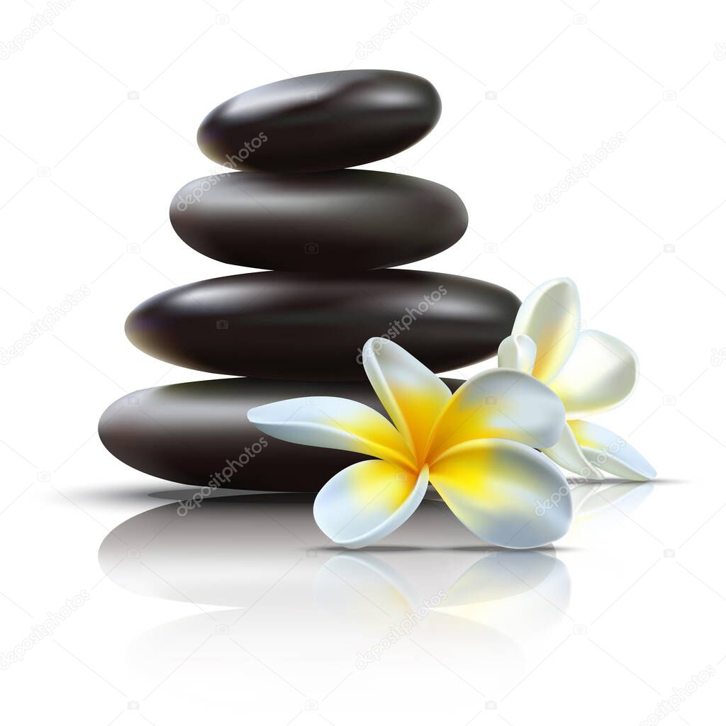 Beautiful 3d realistic vector spa set with black massage stones and wild tropical flowers with reflection.