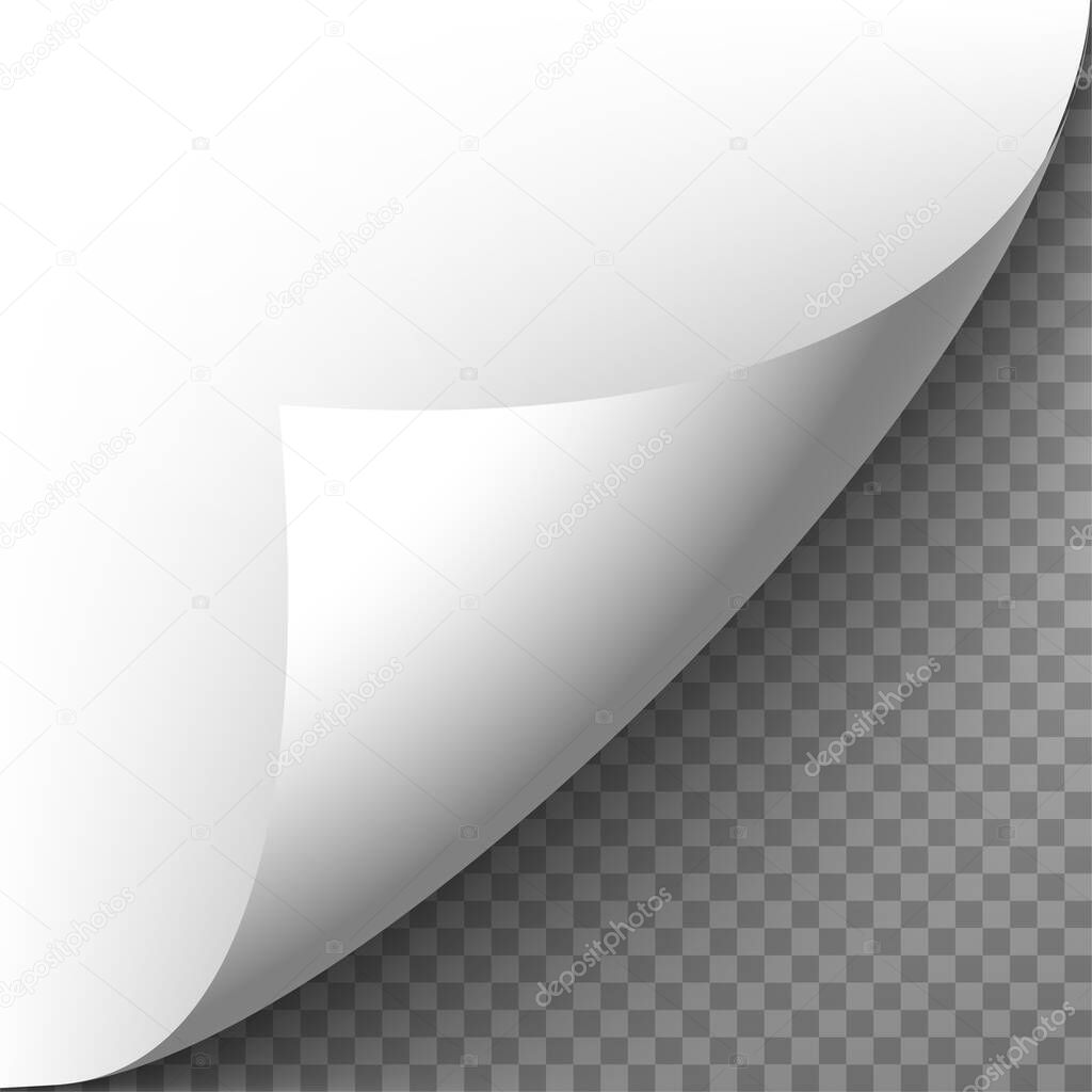 3d realistic vector paper corner on transparent background.