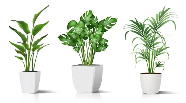 Coleção Vetor Realista Ícone Ilustração Vasos Plantas Para Interior Isolado — Vetor de Stock