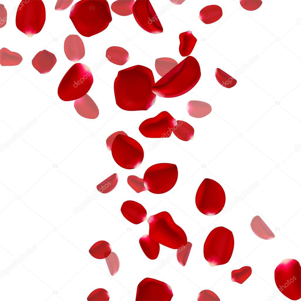 Vector 3d realistic flying rose petals background. Template for wedding, birthday or party invitation cards and banners.