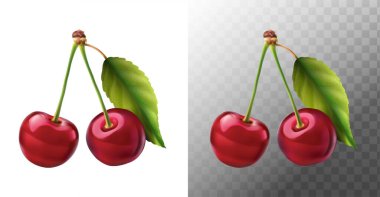 Gerçekçi vektör ikonu illüstrasyonu. Saplı ve yapraklı iki taze kırmızı kiraz. Beyaz arkaplanda izole.