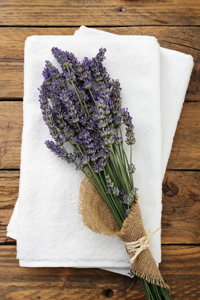 Massa färsk lavendel — Stockfoto