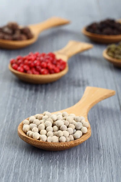 Different varieties of spice — Stock Photo, Image
