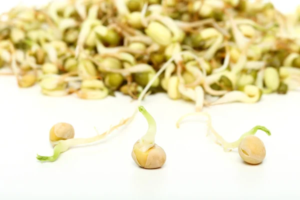 Fresh sprouts soy — Stock Photo, Image