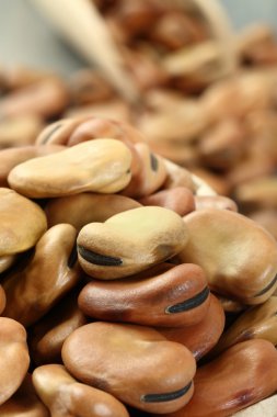 Kurutulmuş Mısır fasulye