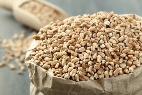 Sušený ječmen semena — Stock fotografie