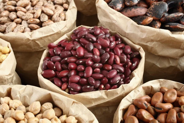 Colorful variety mixed beans — Stock Photo, Image