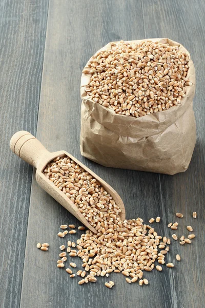 Sušený ječmen semena — Stock fotografie