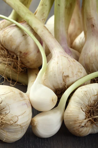Whole fresh garlic — Stock Photo, Image